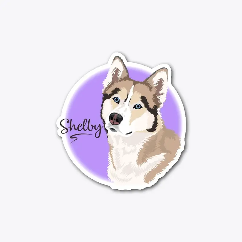 Shelby The Husky