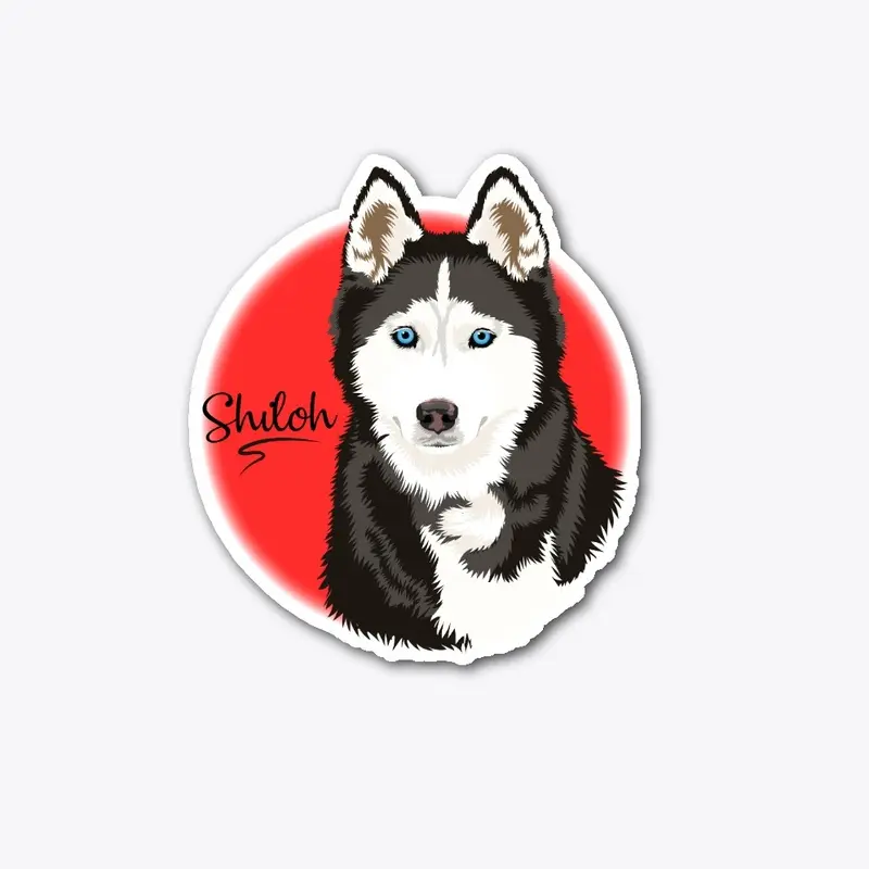 Shiloh The Husky